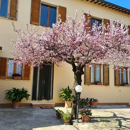 Barbara Assisi Bed and breakfast Cannara