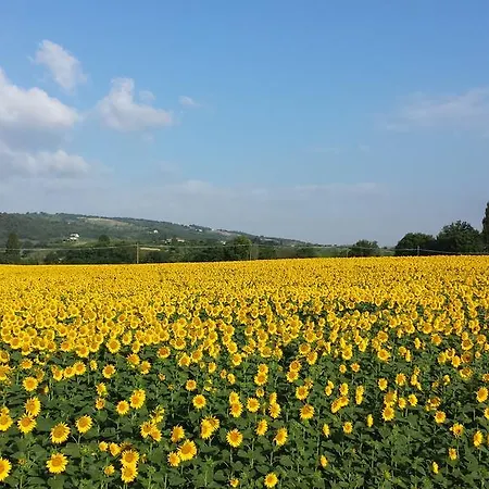 Bed and breakfast Barbara Assisi 3*