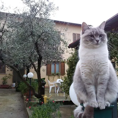 Barbara Assisi Cannara