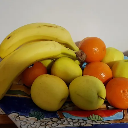 Barbara Assisi Cannara