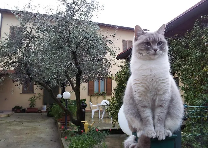 Barbara Assisi Cannara