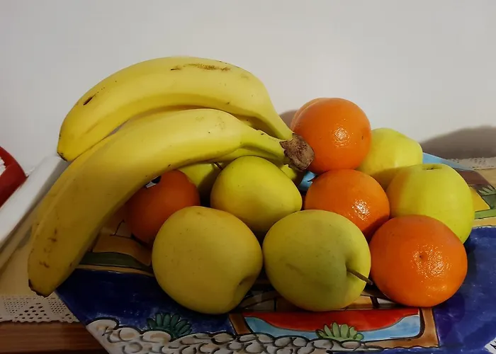 Barbara Assisi Cannara